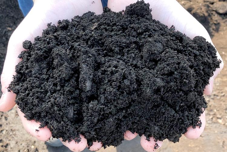 Humic substances